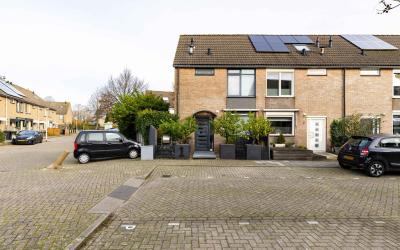 Hermelijn 1
