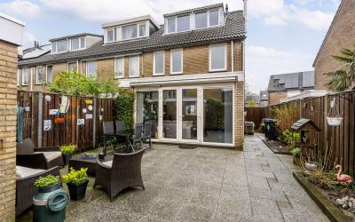 Hermelijn 12
