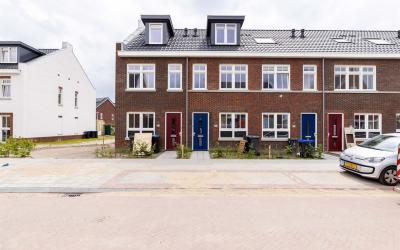 Korenbloem 84