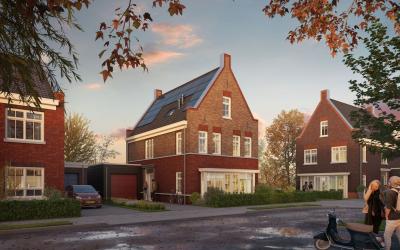 Korenbloem 93