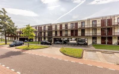 Rochus Meeu. 242