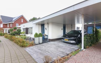 Beukenblad 7