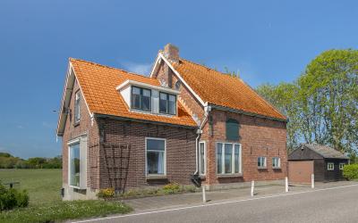 Schapengors. 1