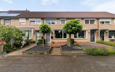 Nachtijs 6