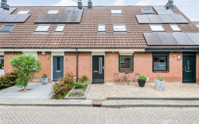 Lijster 17