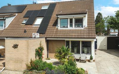 Vink 7