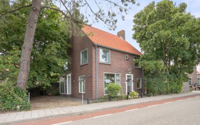 Duinroosple. 11