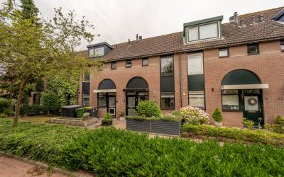 Zilvermeeuw 50