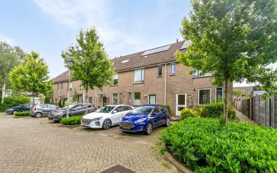 Schouw 11