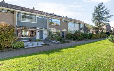 Wilhelminas. 30