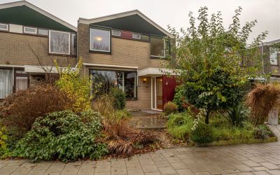 Zuidernesse 5