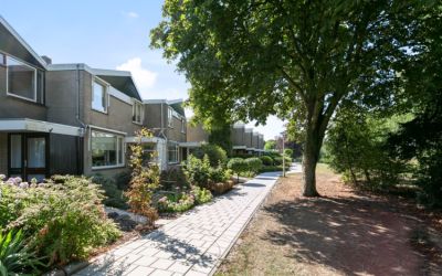 Zuidernesse 7