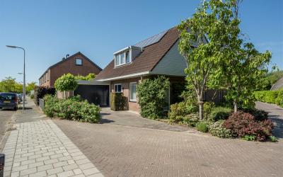 Boerengorzen 12
