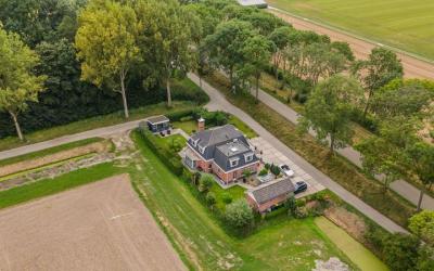 Groene Krui. 22