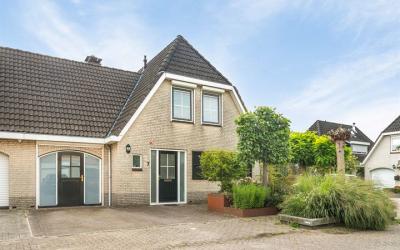 Goudvink 7