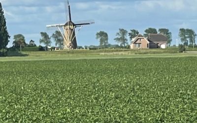 Molendijk 21
