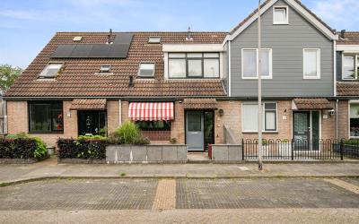 Dotterbloem. 61