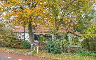 Steenplaats 46