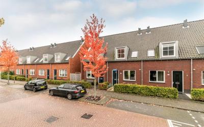 Groene Krui. 52