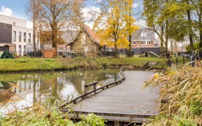 Schaduwrijk 81