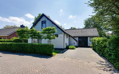 Lijster 10