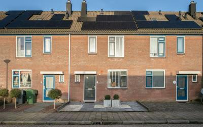 Merel 6