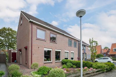 Roodborst 9