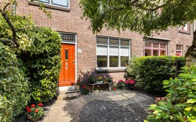 Standhasens. 39