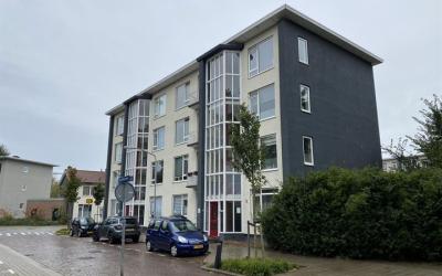 Aalscholver. 11