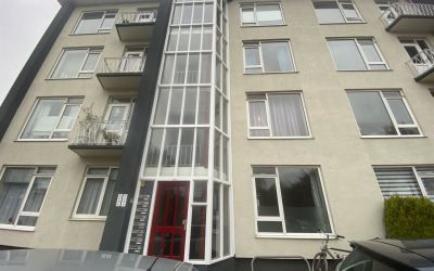 Aalscholver. 17