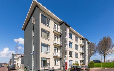 Aalscholver. 25