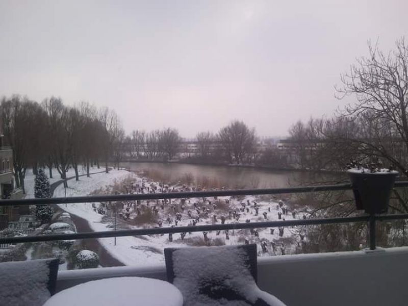 Haringvliet. 215