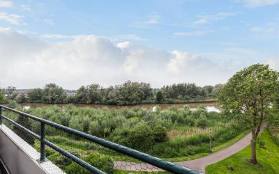 Haringvliet. 299