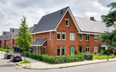Zuidendijk 50