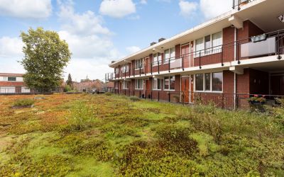 Krispijnsew. 64-P