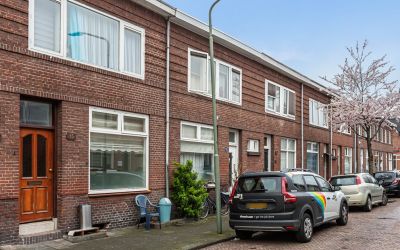 Roemer Viss. 15