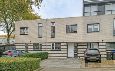 Colorado 19