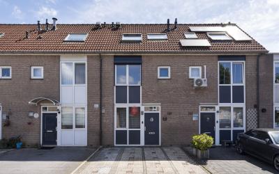 Suze Groene. 377
