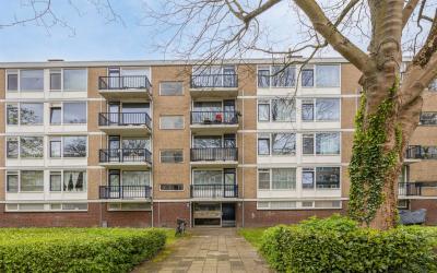 Thorbeckeweg 253