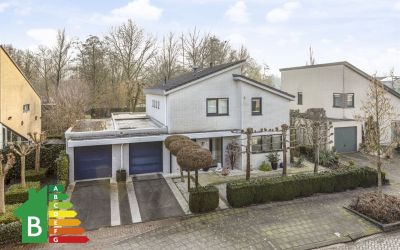 Langedaal 117