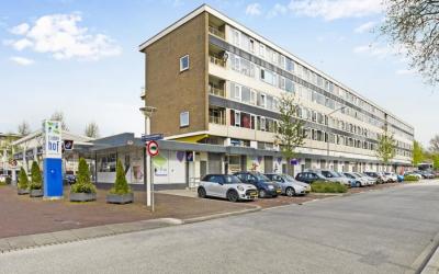 Groen van P. 49