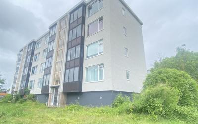 Groen van P. 273