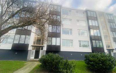 Groen van P. 206