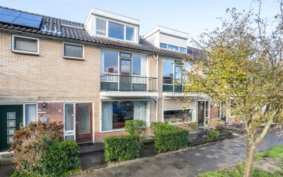 Goudenregen. 9