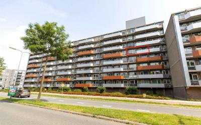 Tomatenplein 81
