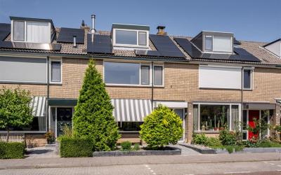 Welhorst 13