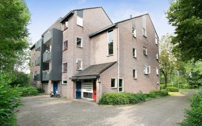 Straatsburg. 18