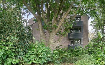 Engelsetuin 14