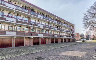 Campanulast. 86
