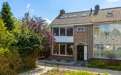Dotterbloem. 22